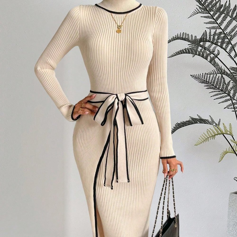 PASSION Contrast Binding Turtleneck Belted Sweater Dress - Picture 3 of 15